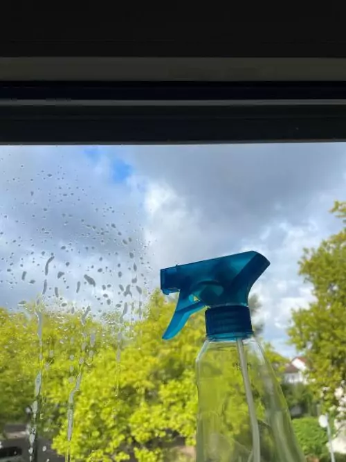 Fenster wird mit Putzmittel eingesprüht, noch denkt keiner an den Vogel.