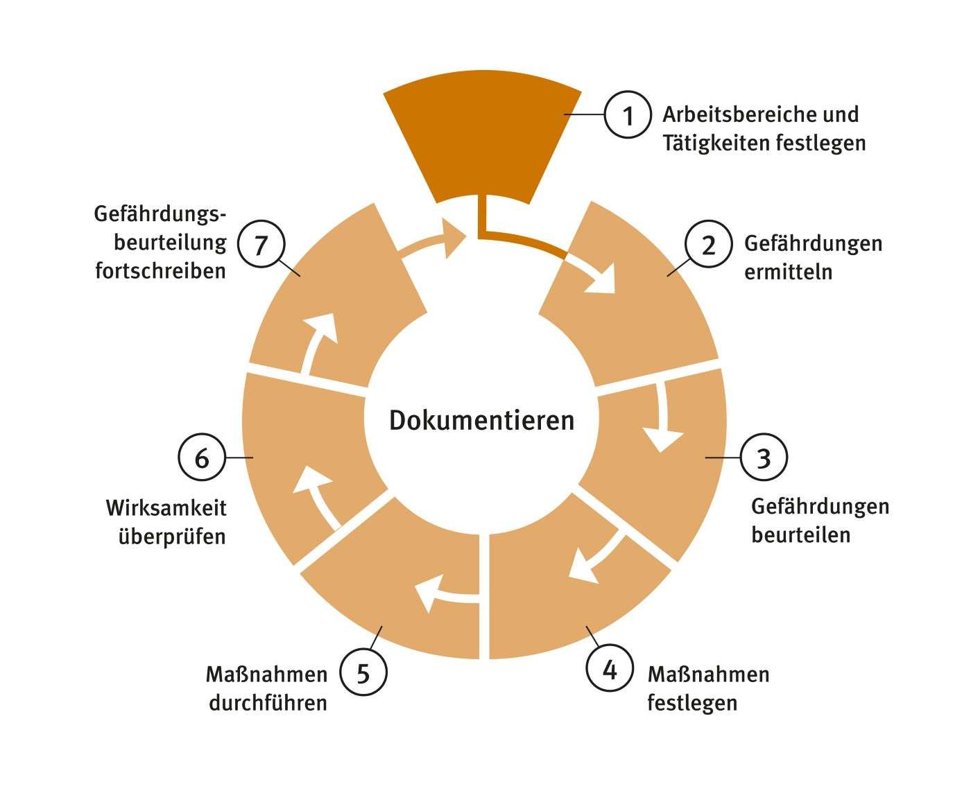 Die schematische Abbildung der 7 Schritte bei der Erstellung einer Gefährdungsbeurteilung. Quelle: BGW